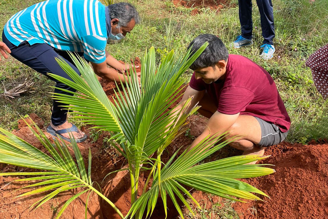 bindhani customers joined hand with bindhani team for planation .  